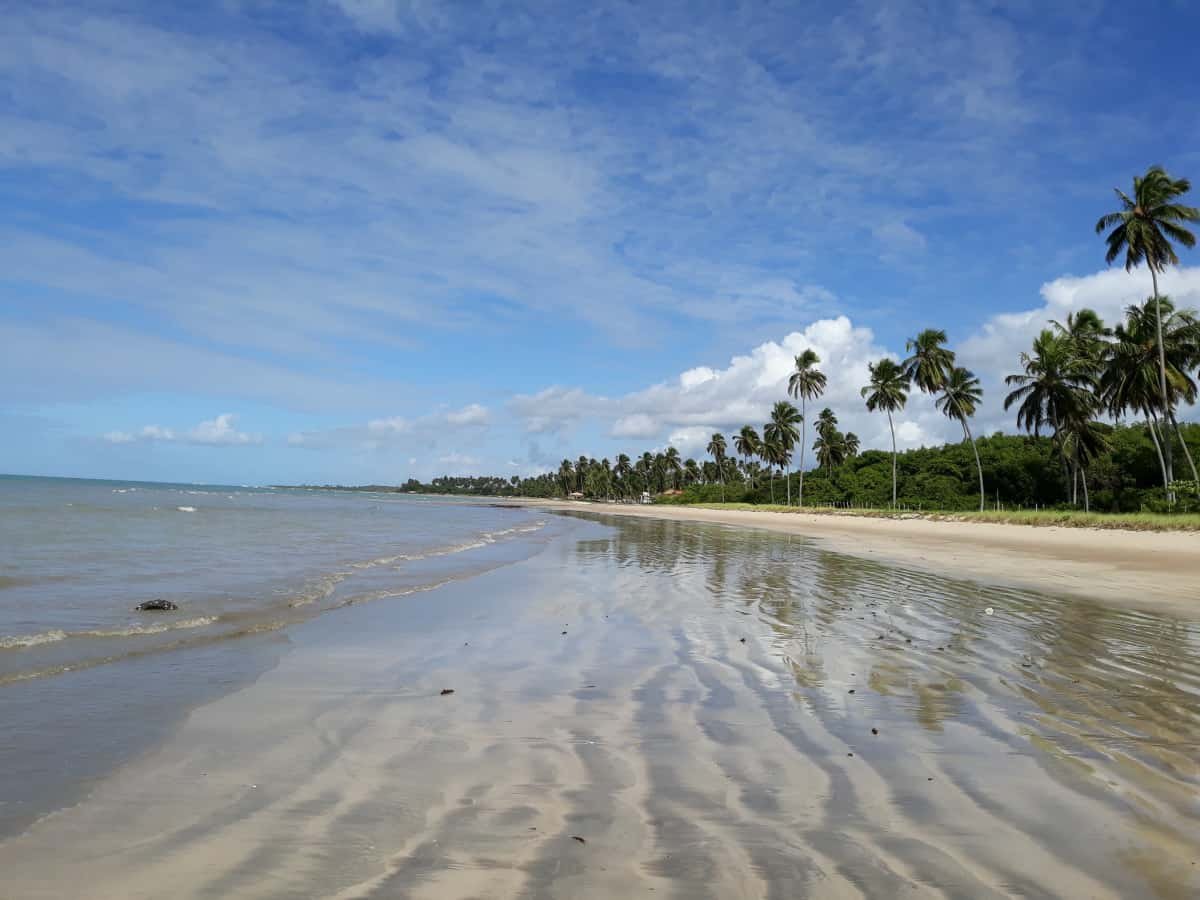 Top 10 Safest Beaches In Brazil: Crime, Sharks, Waves | Tripster Panda