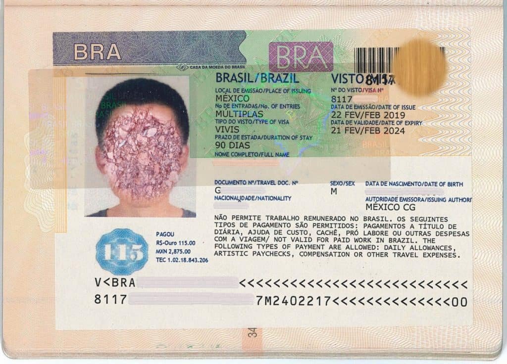 can you travel to brazil with a criminal record