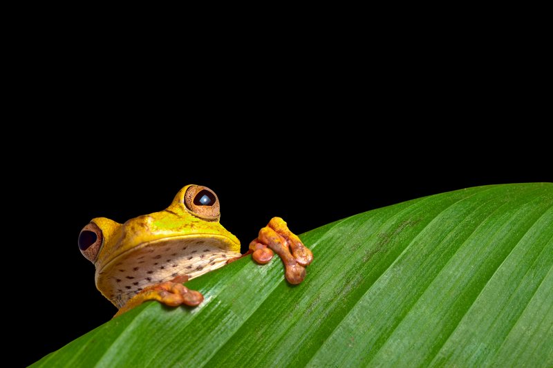 amazon trip in brazil