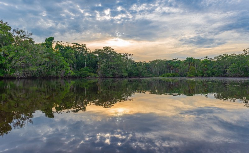 amazon trip in brazil