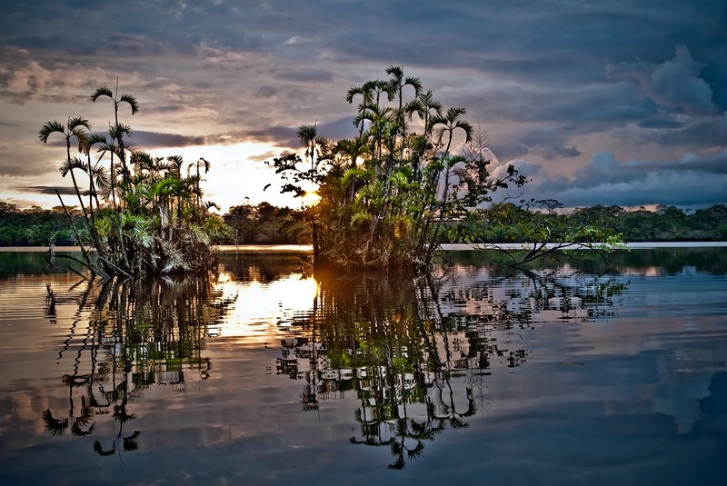 amazon trip in brazil